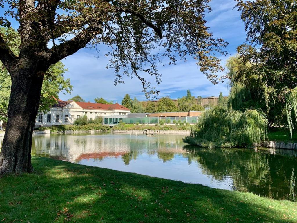 Hotel Garni Zum Rebstock Naumburg  Buitenkant foto
