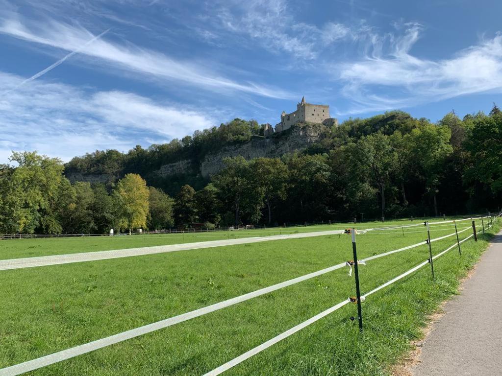 Hotel Garni Zum Rebstock Naumburg  Buitenkant foto