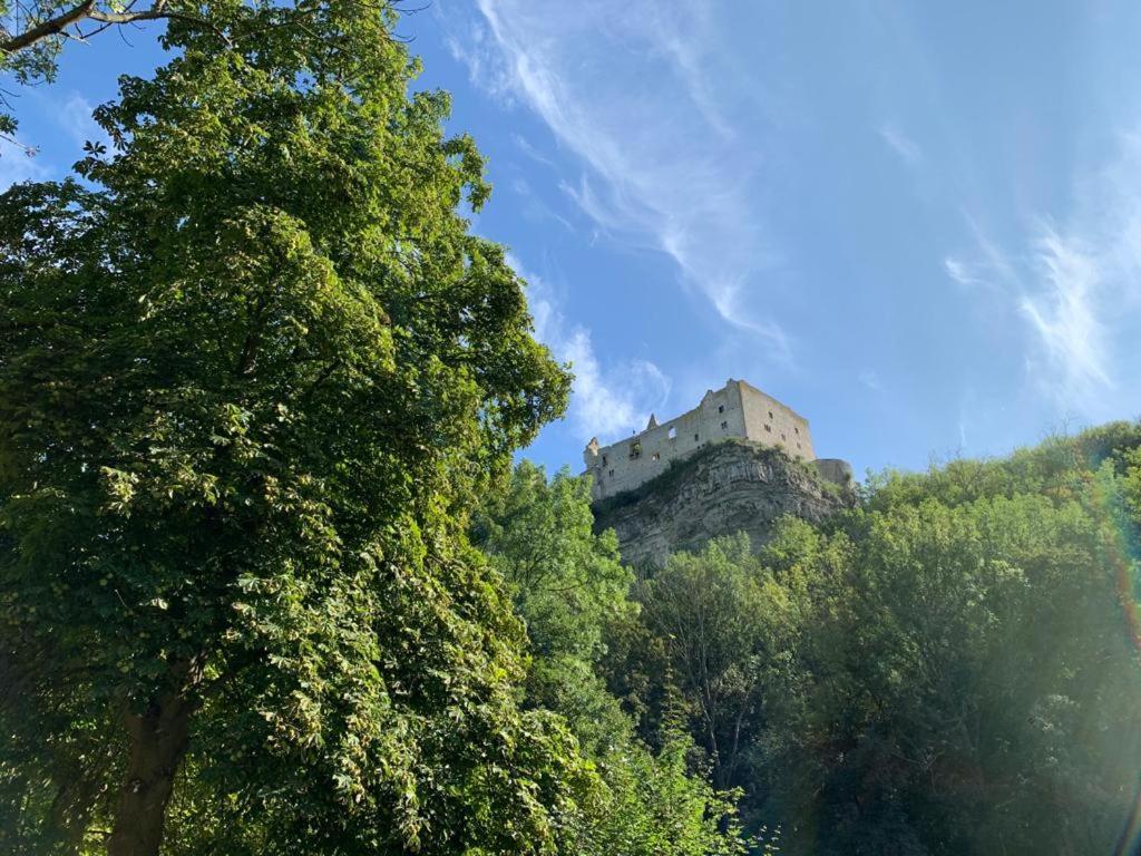Hotel Garni Zum Rebstock Naumburg  Buitenkant foto