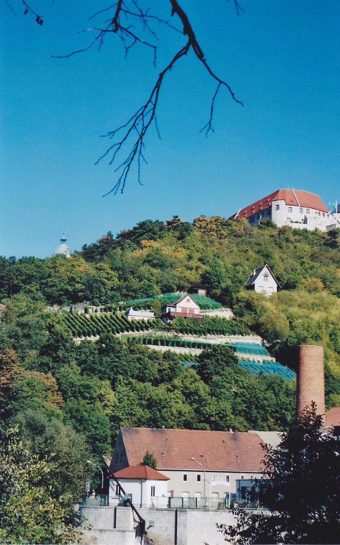 Hotel Garni Zum Rebstock Naumburg  Buitenkant foto