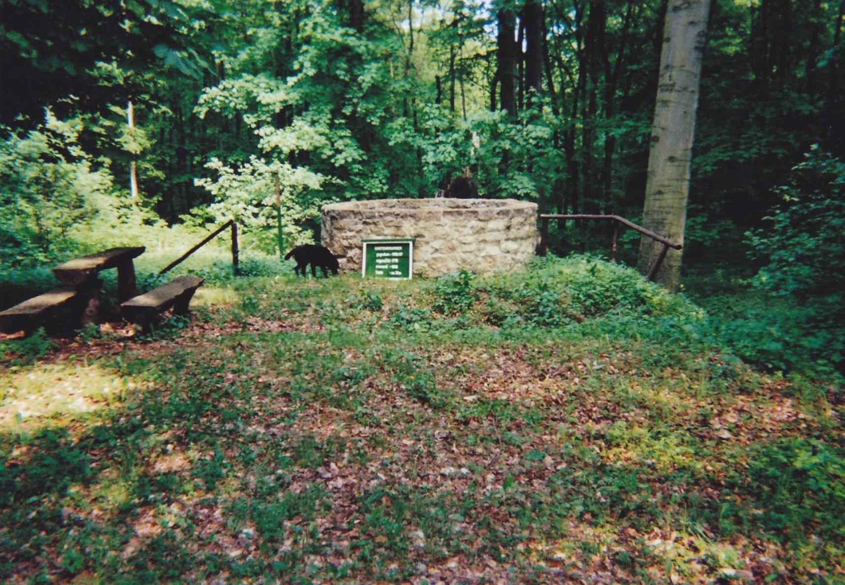 Hotel Garni Zum Rebstock Naumburg  Buitenkant foto