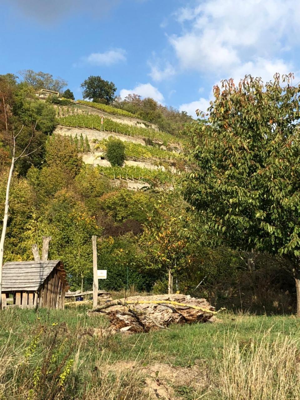 Hotel Garni Zum Rebstock Naumburg  Buitenkant foto
