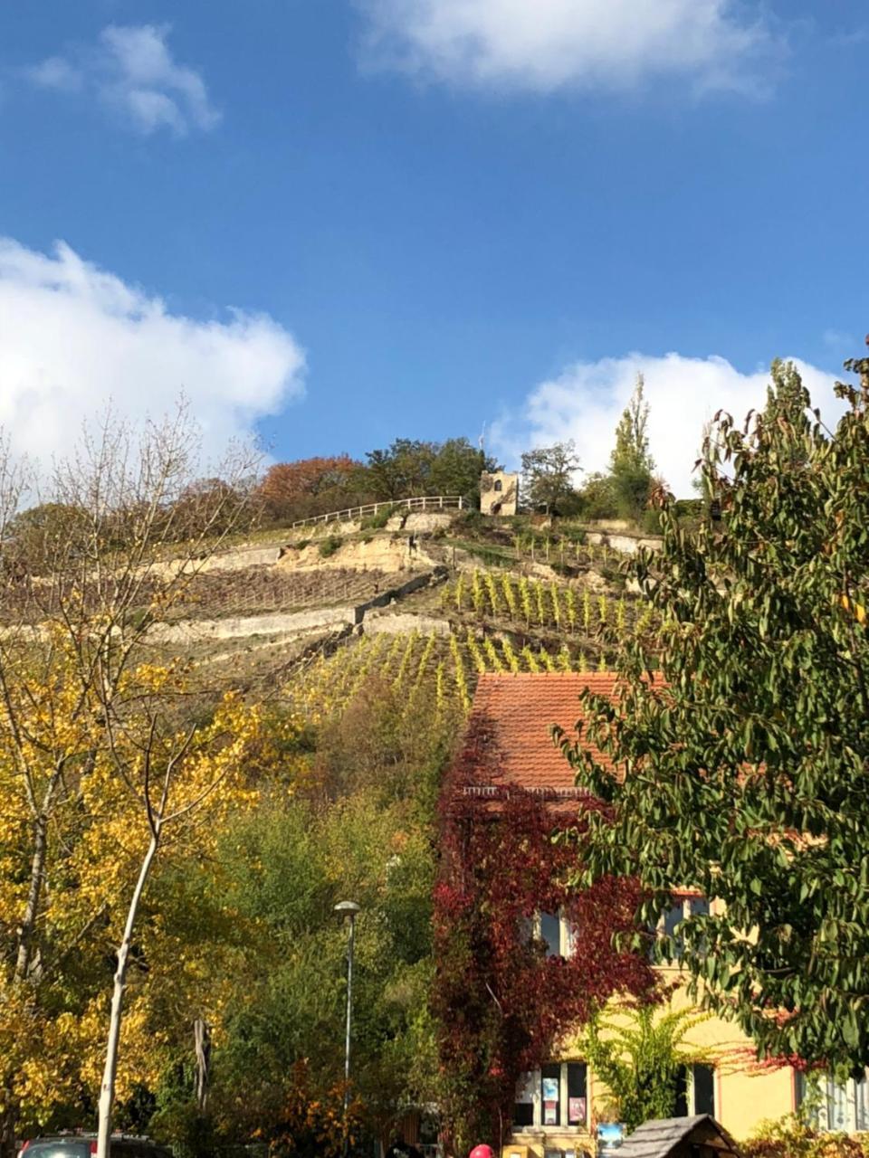 Hotel Garni Zum Rebstock Naumburg  Buitenkant foto